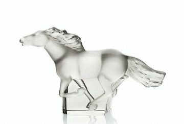 Cavallo-Kazak-5084.jpg